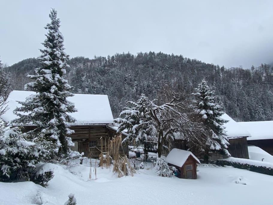 Panorama Wohnung Rungelin Bludenz Buitenkant foto